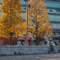 2866-3.jpg