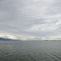 2869-2.jpg