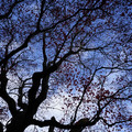 2875-1.jpg