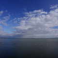 2875-3.jpg