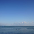 2876-1.jpg