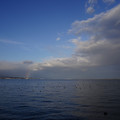 2876-3.jpg