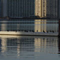 2877-2.jpg