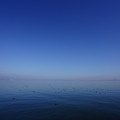 2878-1.jpg
