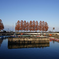 2878-3.jpg