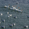 2879-2.jpg