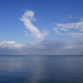 2881-1.jpg