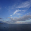 2881-3.jpg
