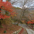 2882-1.jpg