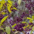 2882-2.jpg