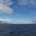 2882-3.jpg