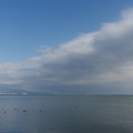 2884-1.jpg
