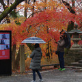 2885-3.jpg