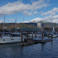 2886-1.jpg