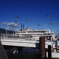 2887-1.jpg