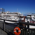 2887-2.jpg