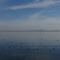 2889-1.jpg
