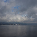 2890-1.jpg