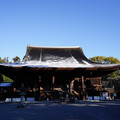 2891-1.jpg