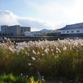 2891-3.jpg