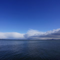 2892-1.jpg