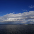 2893-3.jpg
