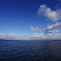 2894-3.jpg