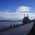 2895-1.jpg
