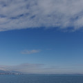 2896-1.jpg
