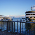 2897-2.jpg