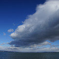 2902-1.jpg