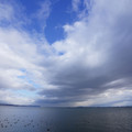 2903-1.jpg