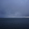 2903-3.jpg