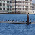 2904-1.jpg