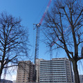 2904-2.jpg