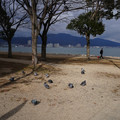 2905-2.jpg