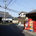 2906-3.jpg