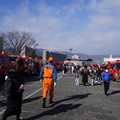 2907-1.jpg