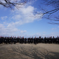 2907-2.jpg