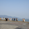 2908-1.jpg