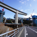 2909-1.jpg