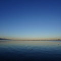 2910-3.jpg