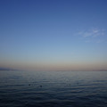 2911-3.jpg