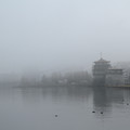 2912-2.jpg