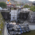 2917-2.jpg