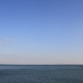 2919-1.jpg