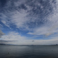2921-1.jpg