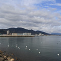 2921-2.jpg