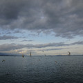 2921-3.jpg