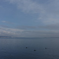 2922-1.jpg